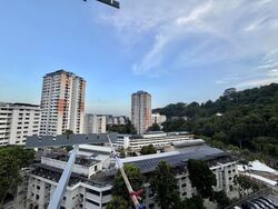 Blk 32 Telok Blangah Rise (Bukit Merah), HDB 3 Rooms #587847211